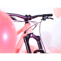 Kit Cadre Scor 4060 Frameset Yum Gum 2023
