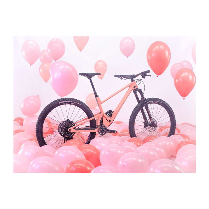 Kit Cadre Scor 4060 Frameset Yum Gum 2023