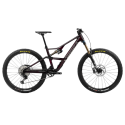 Orbea Occam LT M10 MTB Wine Red - Titanium (Gloss) 2024