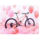 VTT Scor 4060 ST Custom Yum Gum 2023