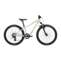Vélo enfant Orbea MX 24 XC Halo Silver - Spicy Lime 2025