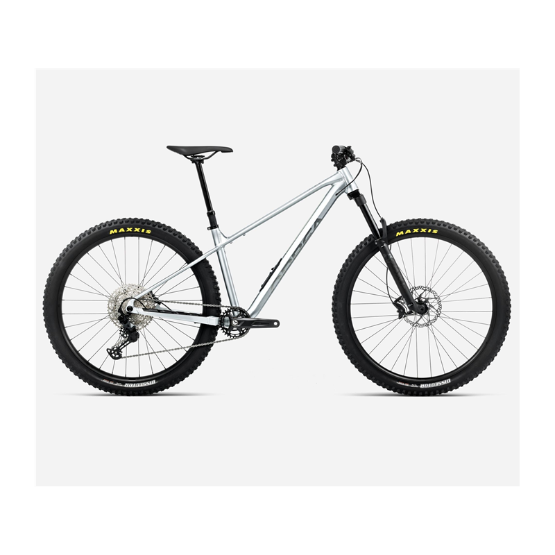VTT Orbea LAUFEY H10 Smooth Silver  - Titanium 2026
