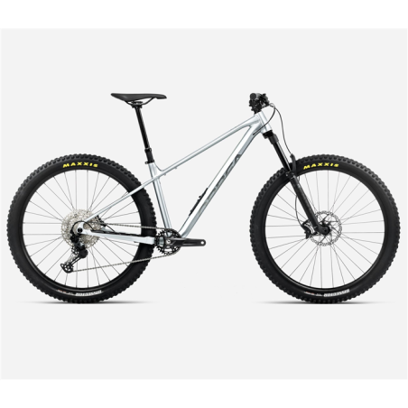 VTT Orbea LAUFEY H10 Smooth Silver  - Titanium 2026