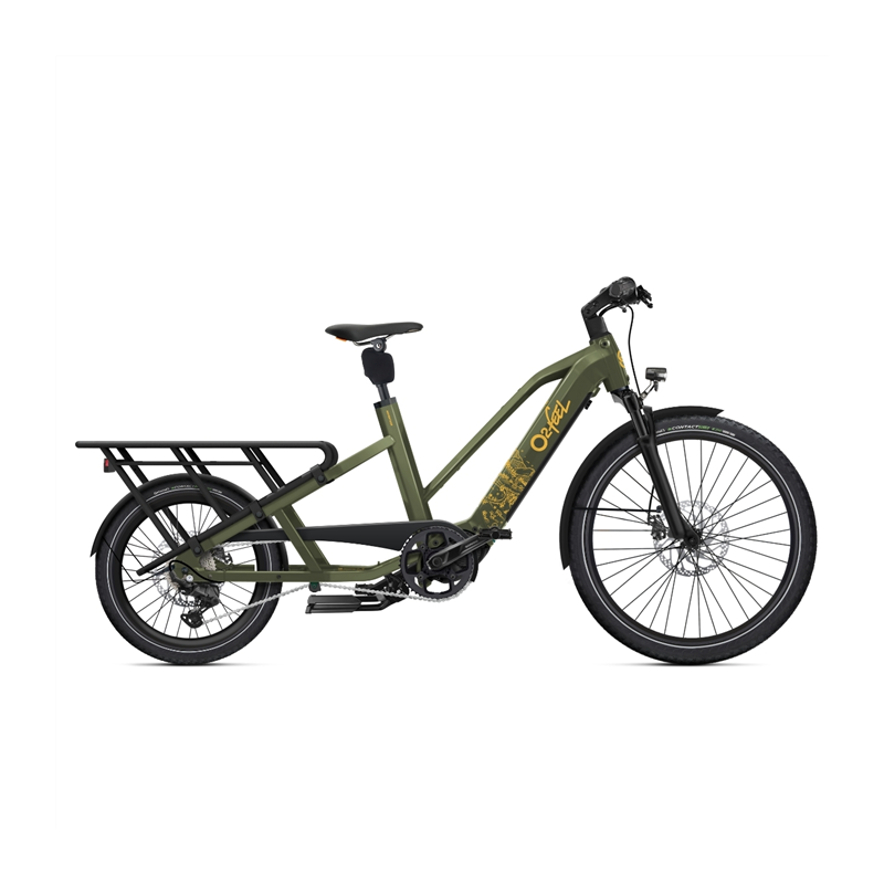 Vélo électrique longtail O2feel Equo Adventure 5.2 Family Trapèze Vert Jungle 2025