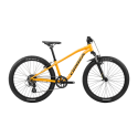 Vélo enfant Orbea MX 24 XC Mango - Black 2025